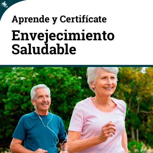 Curso Atención Integral al Adulto Mayor: Envejecimiento Saludable Envejecimiento Saludable