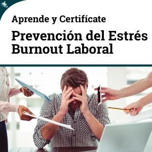 Curso Prevención del Estrés Laboral y del Síndrome de Burnout