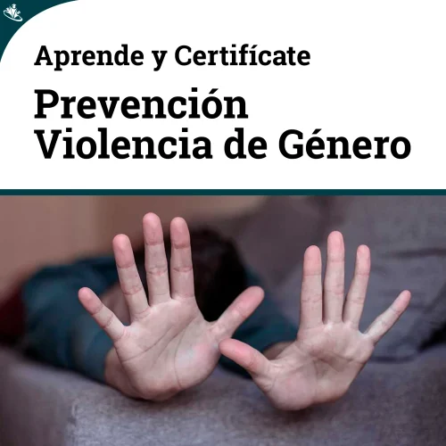 Curso Prevención y Abordaje Integral de la Violencia de Género Curso Prevención y Abordaje Integral de la Violencia de Género