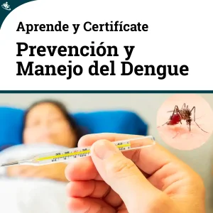 Curso Integral Dengue: Prevención y Manejo de la Enfermedad