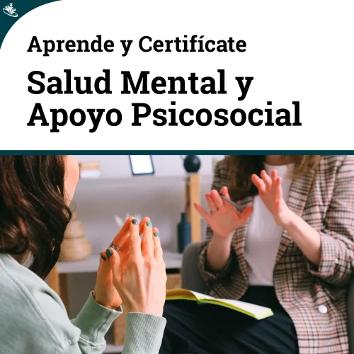 Curso Salud Mental y Apoyo Psicosocial en emergencias (SMAPS) SMAPS