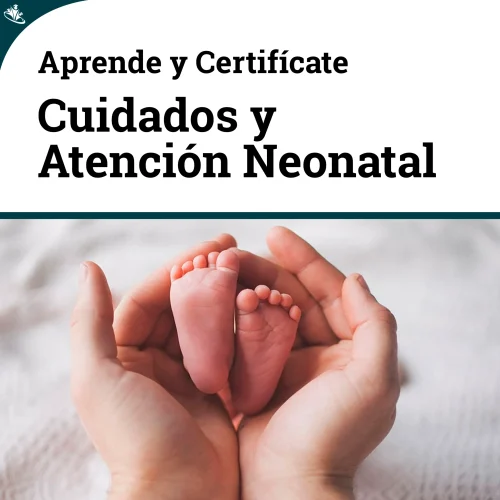 Curso Cuidados y Atención Neonatal: Procedimientos Esenciales Curso Cuidados y Atención Neonatal: Procedimientos Esenciales