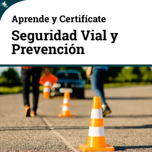 Curso Especializado en Seguridad Vial y Prevención de Accidentes