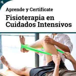 Curso Fisioterapia Integral en la Unidad de Cuidados Intensivos