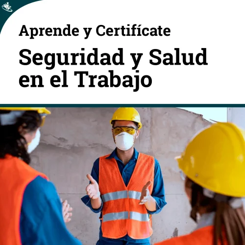Curso Seguridad y Salud en el Trabajo: Regulaciones y Metodologias Curso Seguridad y Salud en el Trabajo: Regulaciones y Metodologias