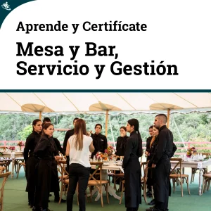 Curso Práctico de Mesa y Bar: Servicio y Gestión