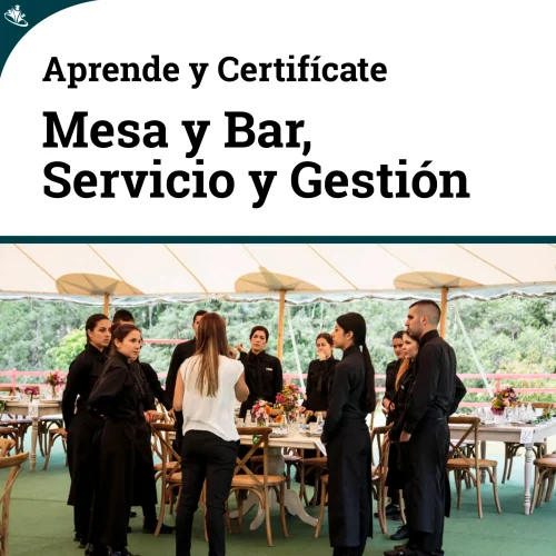 Curso Práctico de Mesa y Bar: Servicio y Gestión Curso Práctico de Mesa y Bar: Servicio y Gestión