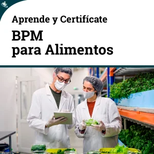 Alimentos BPM