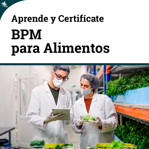 Curso Buenas Practicas de Manufactura (BPM) Para Alimentos Alimentos BPM