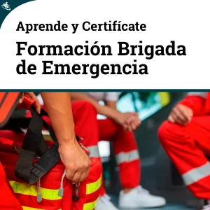Curso Integral de Formación para Brigadas de Emergencia