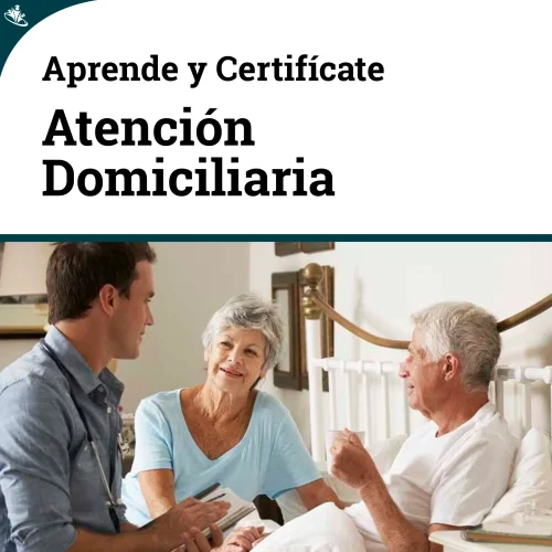 Curso de Atención Domiciliaria : Estrategias y Técnicas Atención Domiciliaria