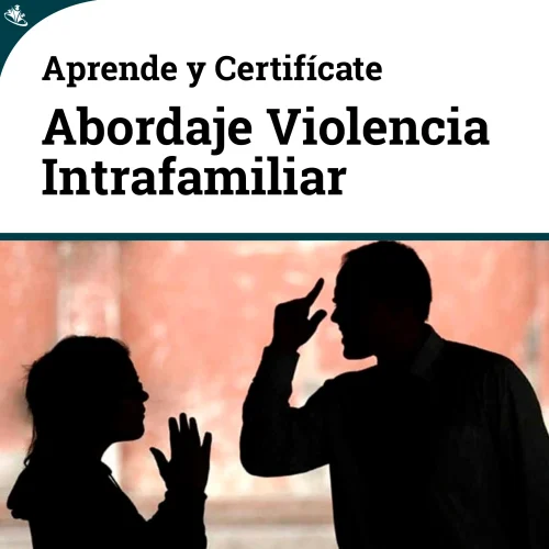 Curso de Comprensión y Abordaje de la Violencia Intrafamiliar: Estrategias Efectivas Violencia Intrafamiliar
