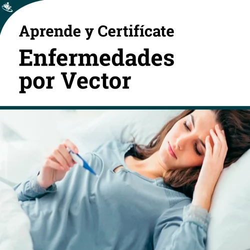 Curso Atención a Enfermedades Transmitidas por Vector Enfermedades por Vectores