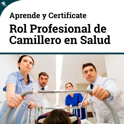 Curso de Introducción Profesional para el Rol Camillero en el Area de la Salud Rol Camillero en el area de la Salud