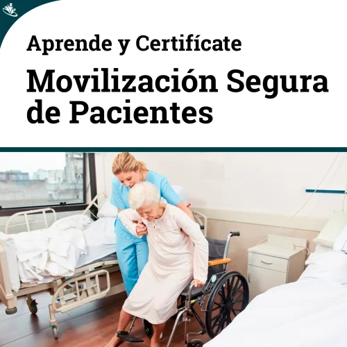 Curso Manejo Seguro en Traslado y Movilización de Pacientes Curso Manejo Seguro en Traslado y Movilización de Pacientes