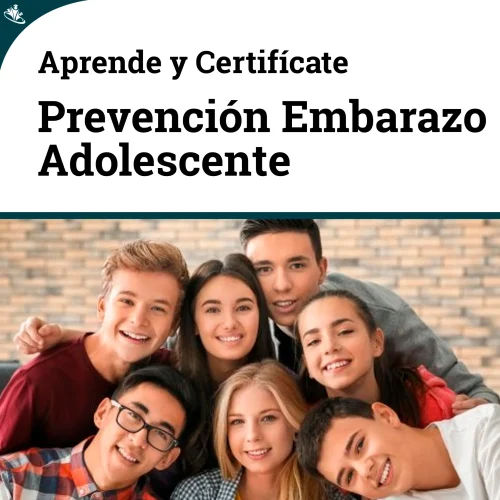 Curso de Prevención del Embarazo Adolescente: Estrategias Educativas y Salud Integral Embarazo Adolescente