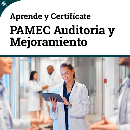 Curso de Programa de Auditoría para el Mejoramiento de la Calidad (PAMEC) PAMEC