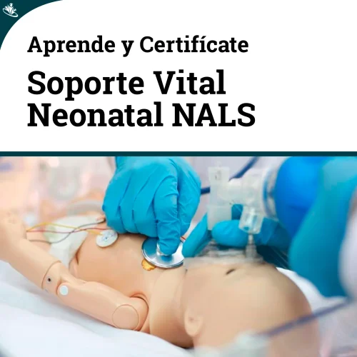 Curso Soporte Vital Avanzado Neonatal (NALS) Neonatal Vital Avanzado