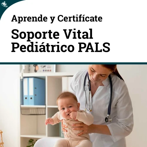 Curso de Soporte Vital Avanzado Pediátrico (PALS) PALS