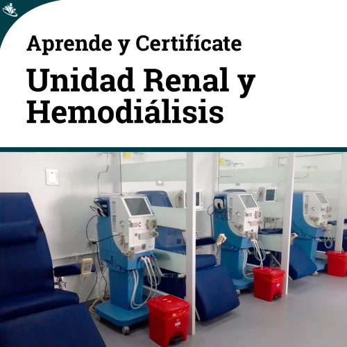Curso Atención de Enfermería en Unidad Renal y Salas de Hemodiálisis Atencion unidad renal