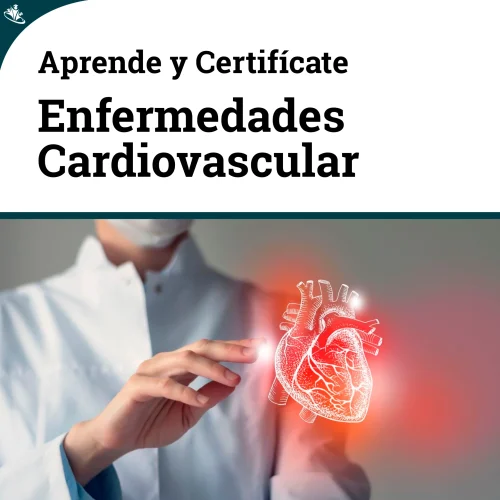 Curso en Prevención y Tratamiento en Enfermedades Cardiovasculares Curso en Prevención y Tratamiento en Enfermedades Cardiovasculares