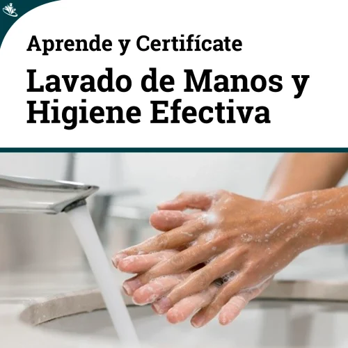 Curso Esencial Lavado de Manos: Prácticas de Higiene Efectiva Curso Esencial Lavado de Manos: Prácticas de Higiene Efectiva