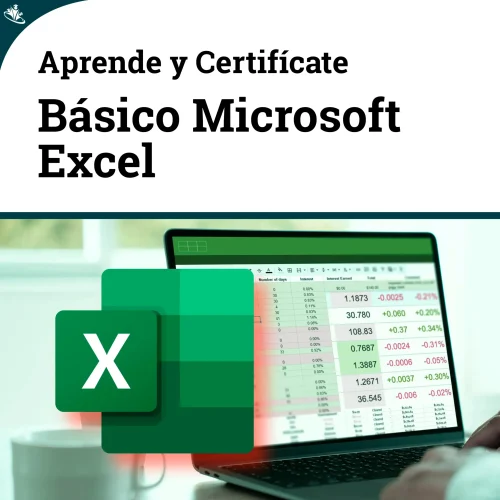Curso Básico de Microsoft Excel Curso Básico de Microsoft Excel