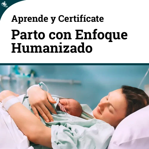 Curso Integral Parto con Enfoque Humanizado Curso Integral Parto con Enfoque Humanizado