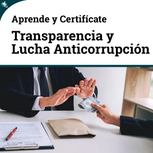 Curso Integral Transparencia y Lucha Anticorrupcion