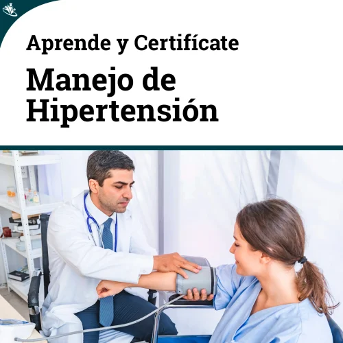 Curso Manejo de la Hipertensión y del Riesgo Cardiovascular en la Atención Primaria de Salud Atención primaria en salud