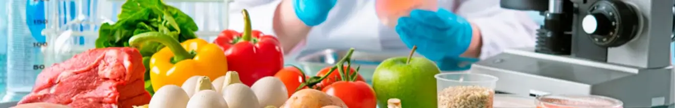 Curso de Buenas Prácticas de Manufactura (BPM) en Alimentos Online