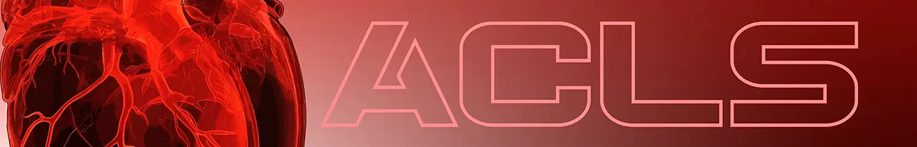 Curso de Soporte Vital Avanzado (ACLS)
