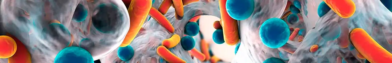 Curso para la Implementación de los Programas de Optimización de Uso de Antimicrobianos (PROA)