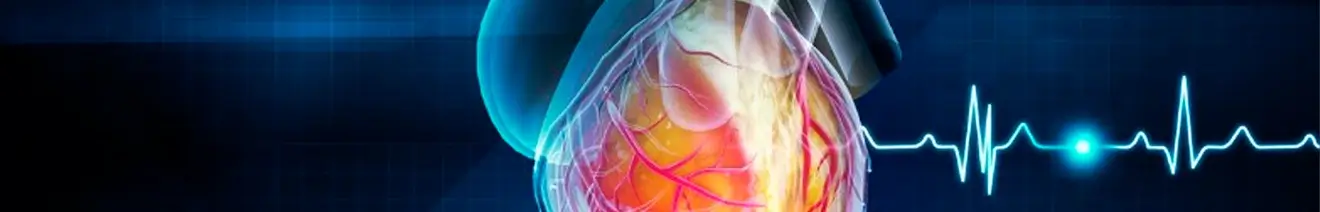 Curso Manejo de la Hipertensión y del Riesgo Cardiovascular en la Atención Primaria de Salud