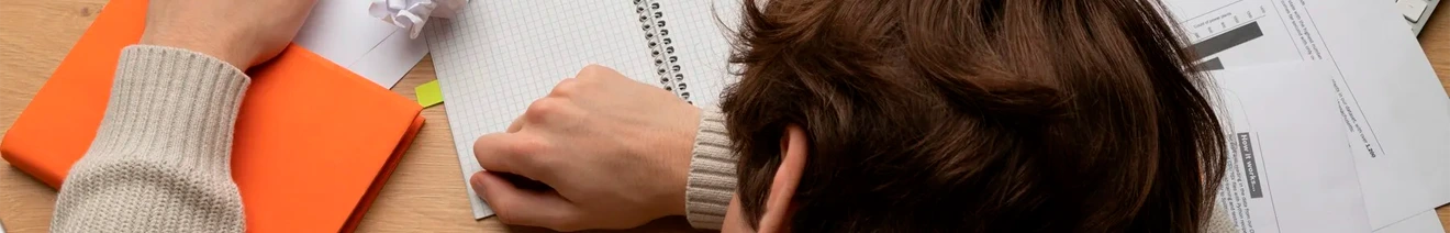 Curso Prevención del Estrés Laboral y del Síndrome de Burnout