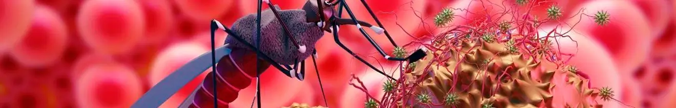 Curso Básico Sobre Diagnóstico y Manejo de Malaria