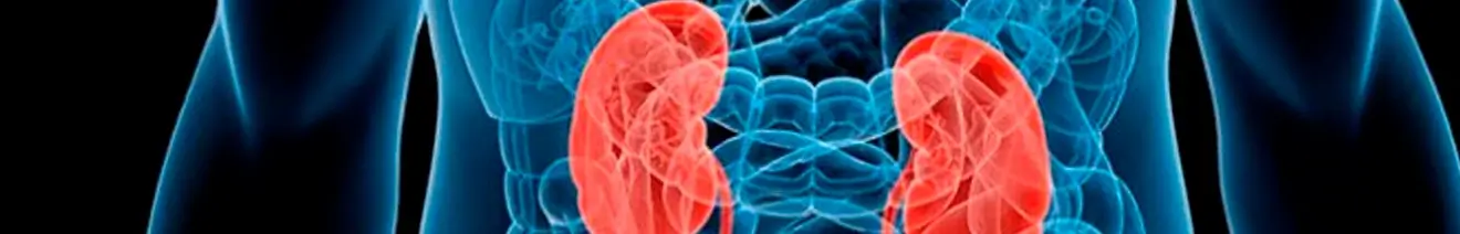 Curso Atención de Enfermería en Unidad Renal y Salas de Hemodiálisis