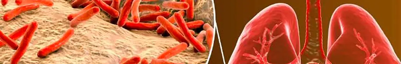 Curso de Lepra y Tuberculosis