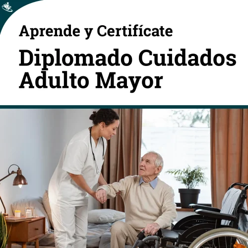 Diplomado en Cuidados Intensivos Especializados para el Adulto Mayor UCI Avanzado Adultos Mayores
