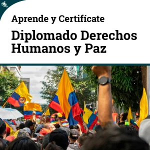 Diplomado en Derechos Humanos y Construcción de Paz en Colombia