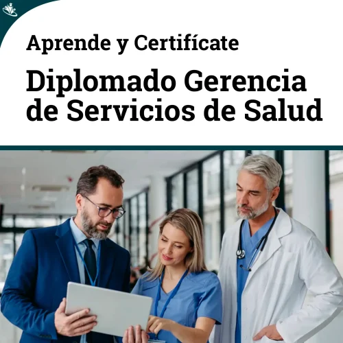Diplomado en Gerencia de Servicios de Salud: Estrategias y Liderazgo Diplomado en Gerencia de Servicios de Salud: Estrategias y Liderazgo