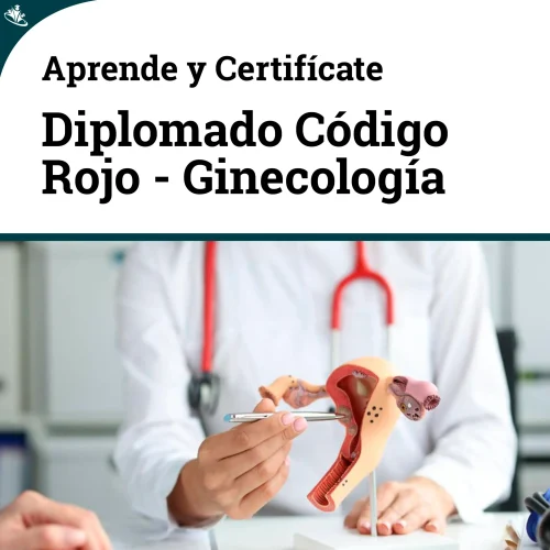 Diplomado en Ginecología y Obstetricia: Atención Integral a la Mujer – Codigo Rojo Diplomado en Ginecología y Obstetricia: Atención Integral a la Mujer - Codigo Rojo