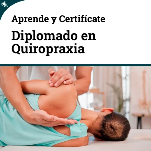 Diplomado en Quiropraxia: Fundamentos Anatómicos y Técnicas Básicas Diplomado en Quiropraxia: Fundamentos Anatómicos y Técnicas Básicas