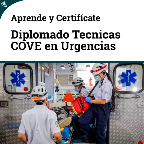 Diplomado en Técnicas Especializadas para Conductores de Servicios de Urgencia (COVE) Diplomado en Técnicas Especializadas para Conductores de Servicios de Urgencia (COVE)