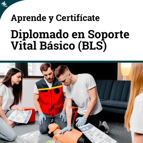 Diplomado Soporte Vital Basico (BLS) : Técnicas fundamentales de Asistencia Diplomado Soporte Vital Basico (BLS) : Técnicas fundamentales de Asistencia