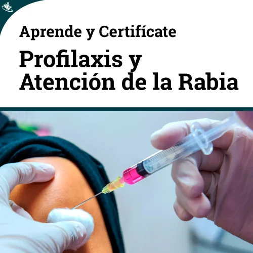Curso Profilaxis de la Rabia y Atención de Exposición Curso Profilaxis de la Rabia y Atención de Exposición