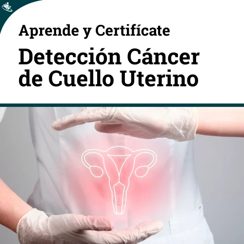 Curso en Prevención y Detección Temprana del Cáncer de Cuello Uterino: Estrategias para la Atención Primaria Curso en Prevención y Detección Temprana del Cáncer de Cuello Uterino: Estrategias para la Atención Primaria