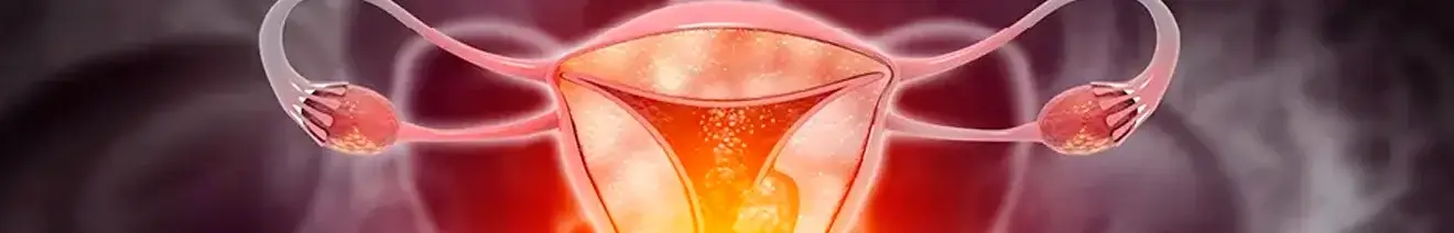 Curso en Prevención y Detección Temprana del Cáncer de Cuello Uterino: Estrategias para la Atención Primaria