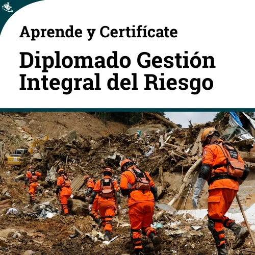 Diplomado en Gestión Integral del Riesgo Diplomado en Gestión Integral del Riesgo