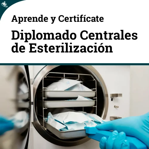 Diplomado en Gestión y Operación de Centrales de Esterilización Diplomado en Gestión y Operación de Centrales de Esterilización
